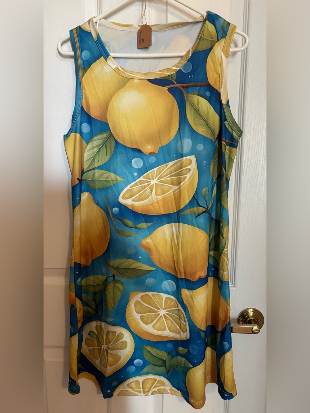 Bright Lemon Print Sleeveless Women’s Dress - Blue & Yellow